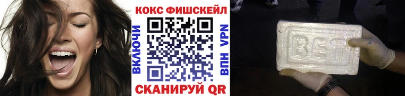 купить закладку  Ногинск  Кокаин FishScale 
