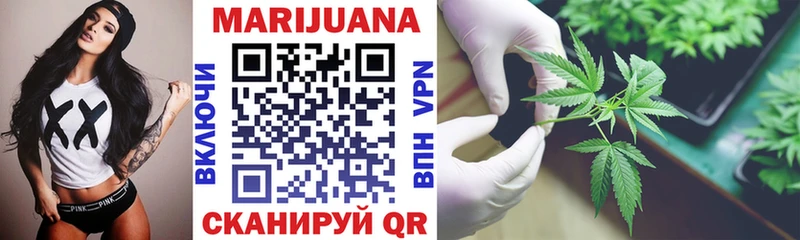 где продают наркотики  блэк спрут вход  Шишки марихуана планчик  Ногинск 